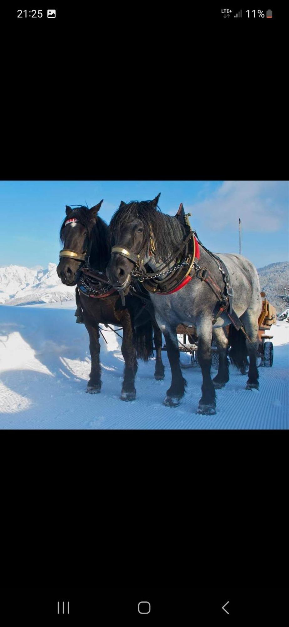 Bergliebe Daire Sankt Martin am Tennengebirge Dış mekan fotoğraf