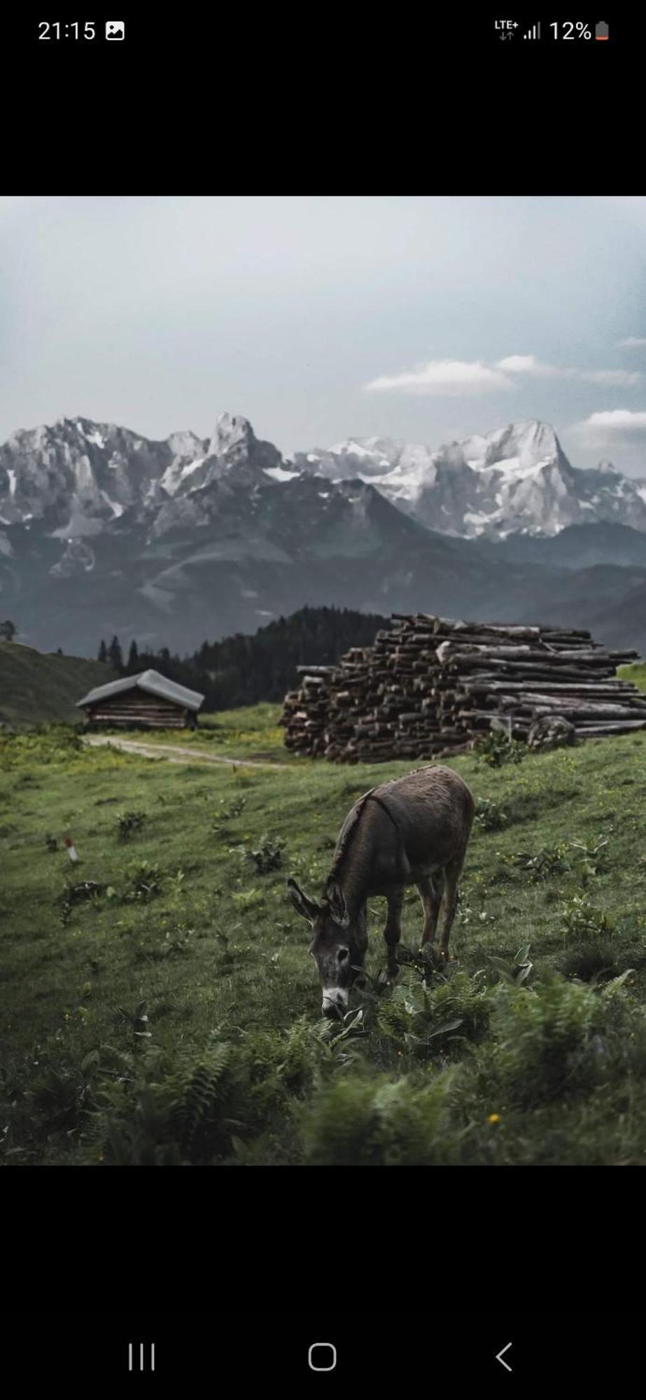 Bergliebe Daire Sankt Martin am Tennengebirge Dış mekan fotoğraf